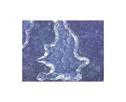 Omegon DigitalView USB hand microscope