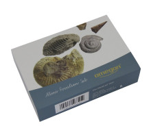 Omegon mini fossil set