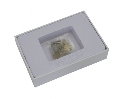 Omegon mini fossil set