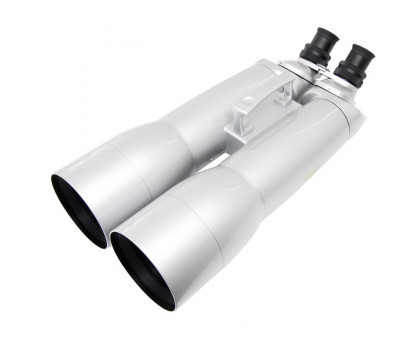Omegon Binoculars Fernglas Nightstar 20+40x100 Doublet mit wechselbaren Okularen
