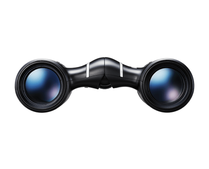 ACULON T02 10x21 Черный