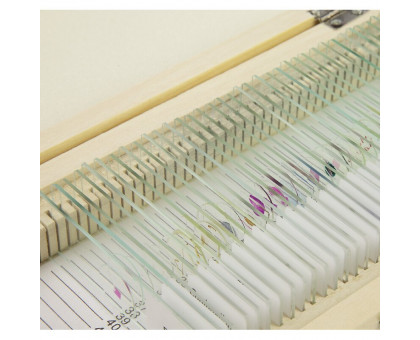 Omegon Prepared slide set, 40 slides in a wooden box