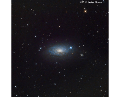 Omegon Telescope Pro Ritchey-Chretien RC 154/1370 EQ6-R Pro