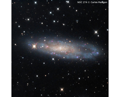 Omegon Telescope Pro Ritchey-Chretien RC 154/1370 EQ6-R Pro