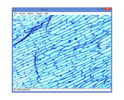 Omegon Microscope Mikroskopier-Set, MonoView 1200x, Kamera, Mikroskopie Standardwerk, Präparationsausrüstung