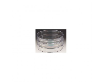 Omegon Stereomikroskop StereoView, 80x, LED, Naturforscher-Set Insekten