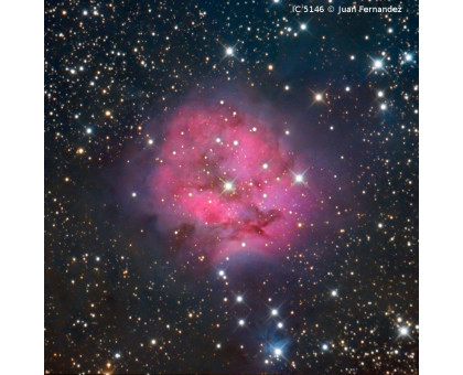 Omegon Telescope Pro Ritchey-Chretien RC 203/1624 EQ6-R Pro