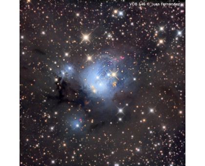 Omegon Telescope Pro Ritchey-Chretien RC 203/1624 EQ6-R Pro