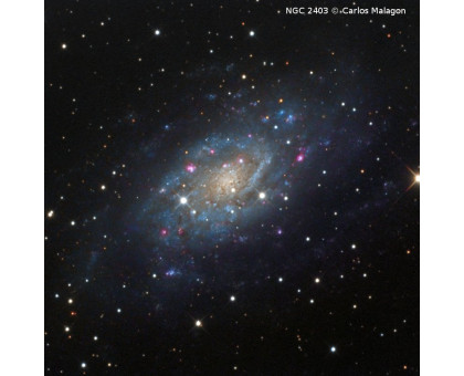 Omegon Telescope Pro Ritchey-Chretien RC 254/2000 EQ6-R Pro