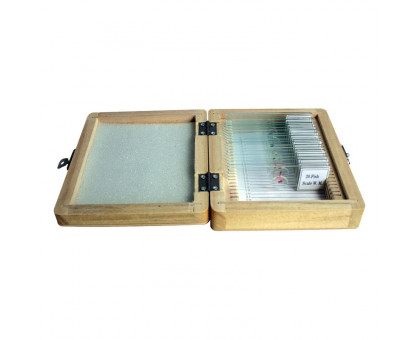 Omegon Prepared slide set, 20 slides in a wooden box