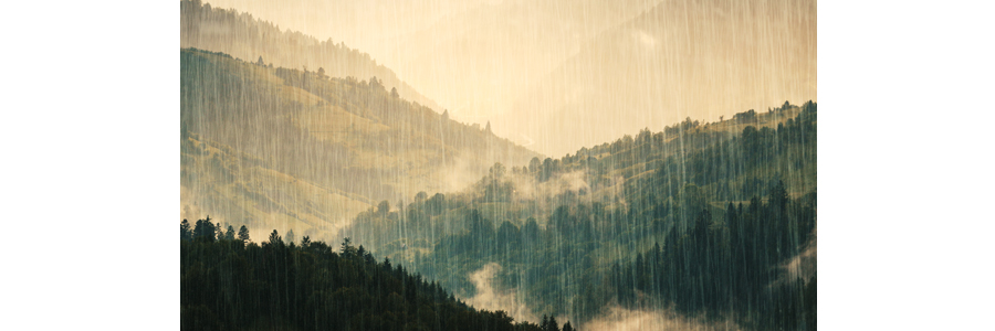 Waterproof and Fogproof